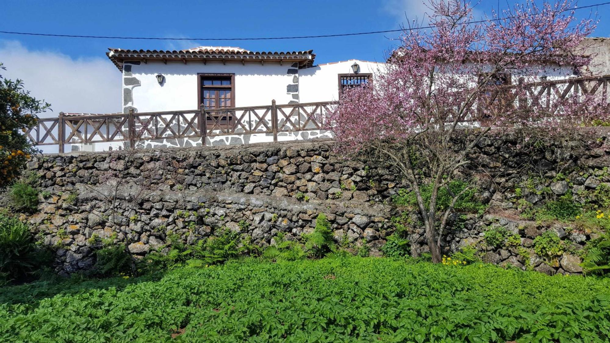 Casa Rural Monte Del Agua Guest House Los Silos Exterior photo